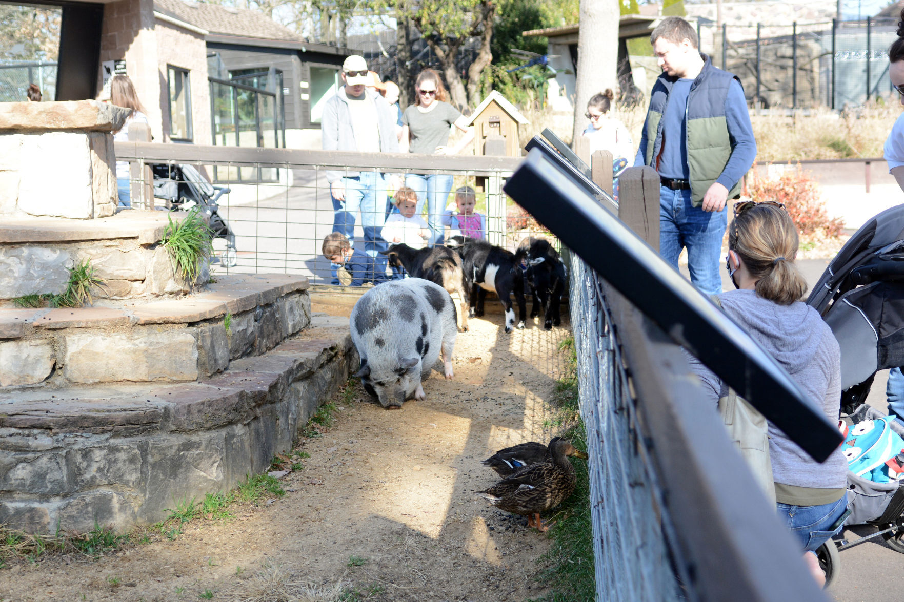 Scenes from Baraboo's Ochsner Park Zoo, Nov. 7, 2020